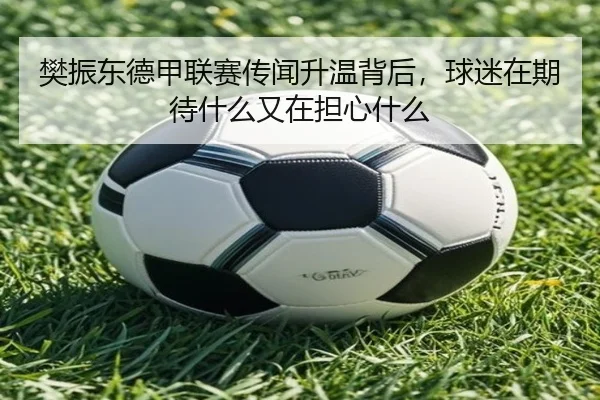 樊振东德甲联赛传闻升温背后，球迷在期待什么又在担心什么